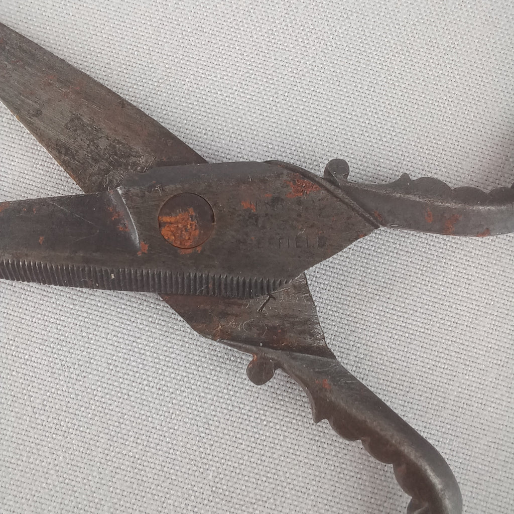 Joseph Haywood Sheffield Stamp