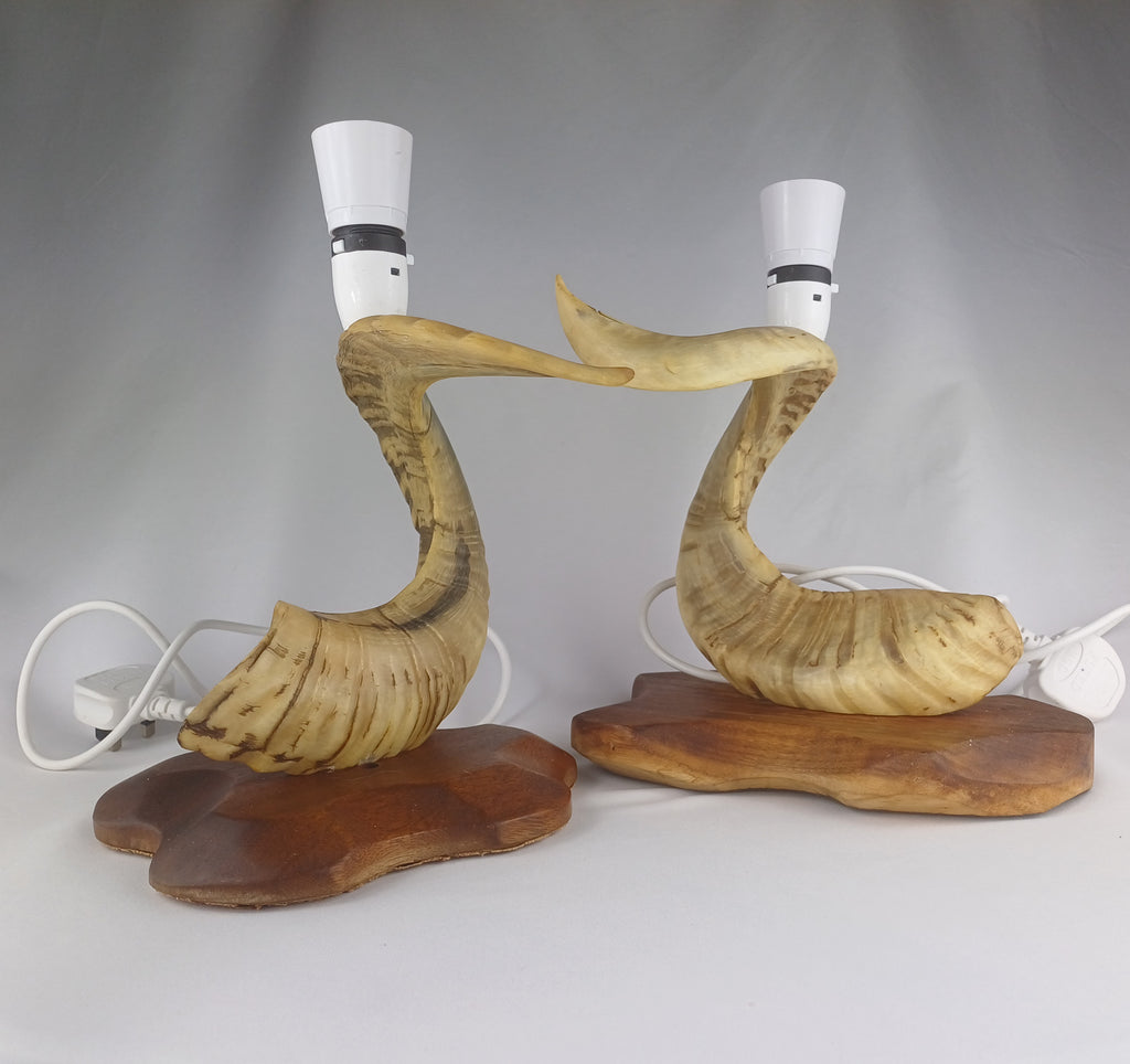 Pair of rams horn lamps on wooden bases