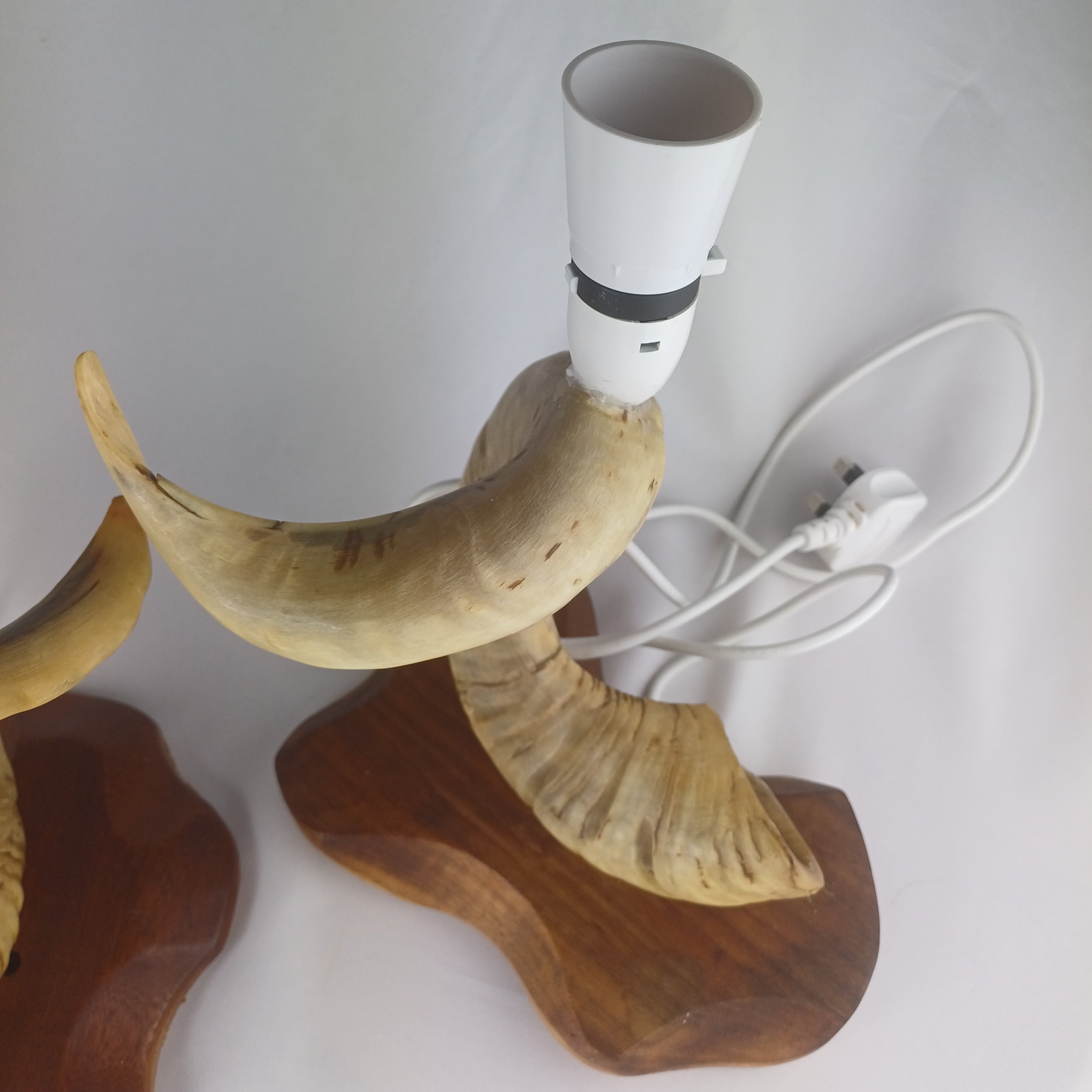 Pair of Rams Horn Lamps