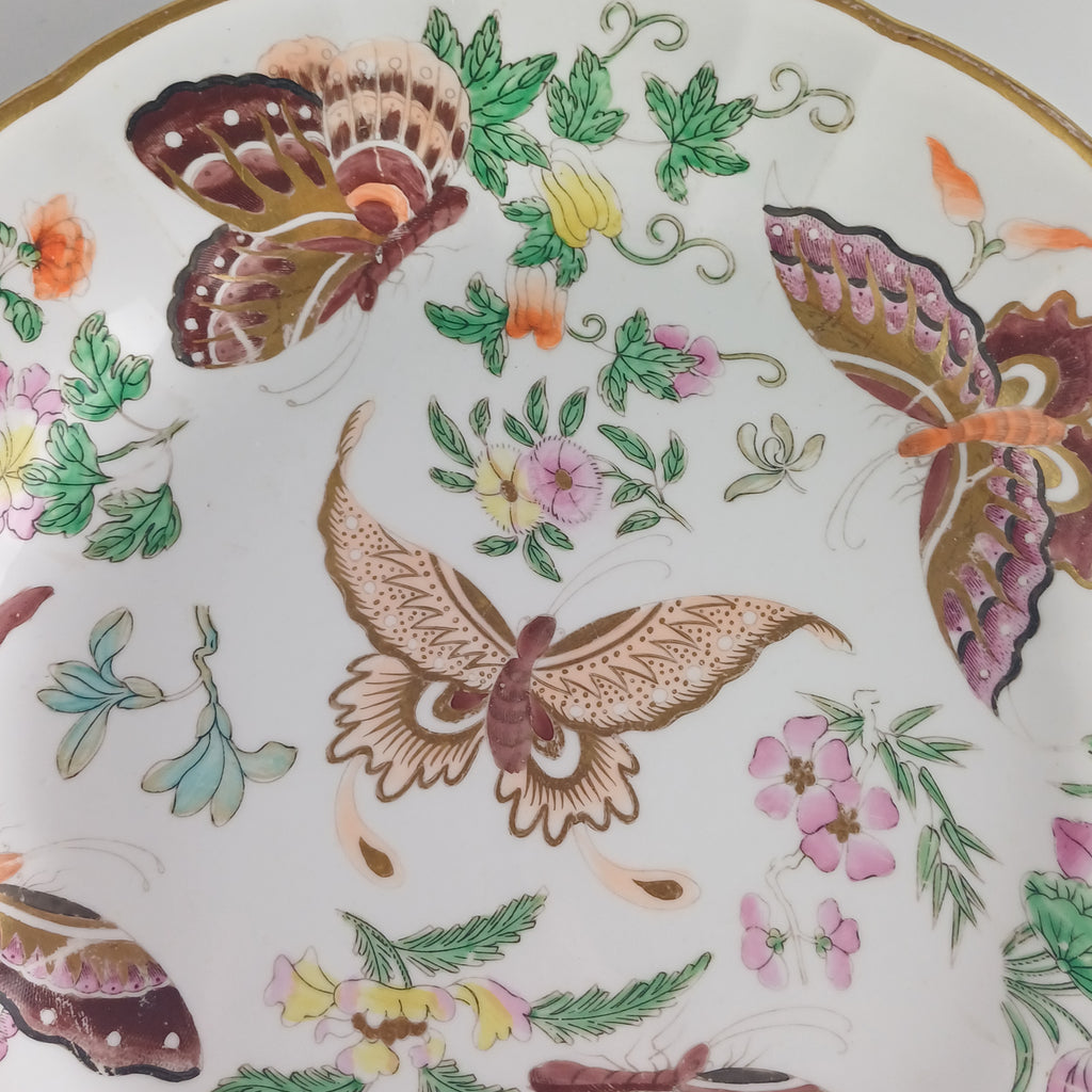 1812 Wedgwood Butterfly Plate