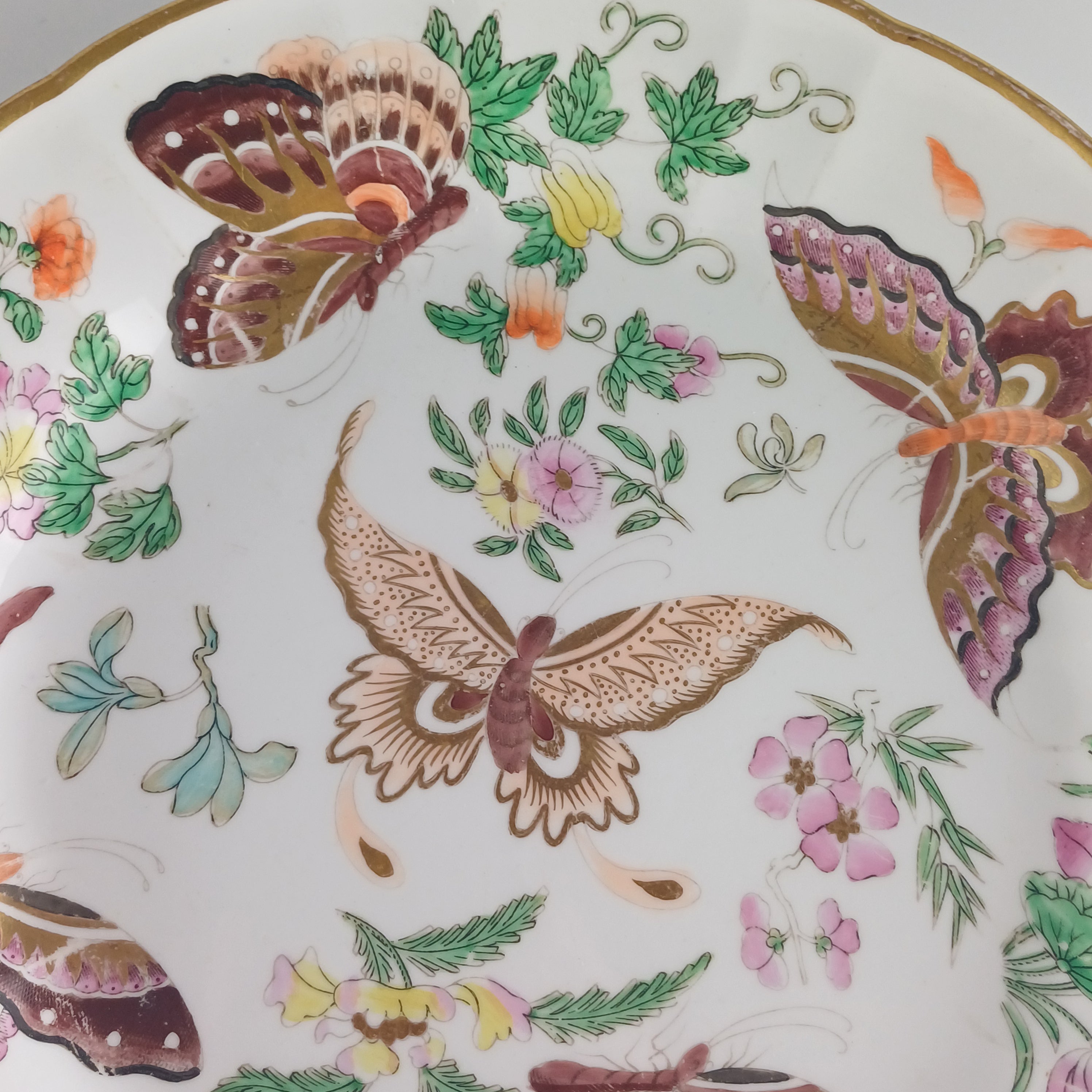 1812 Wedgwood Butterfly Plate