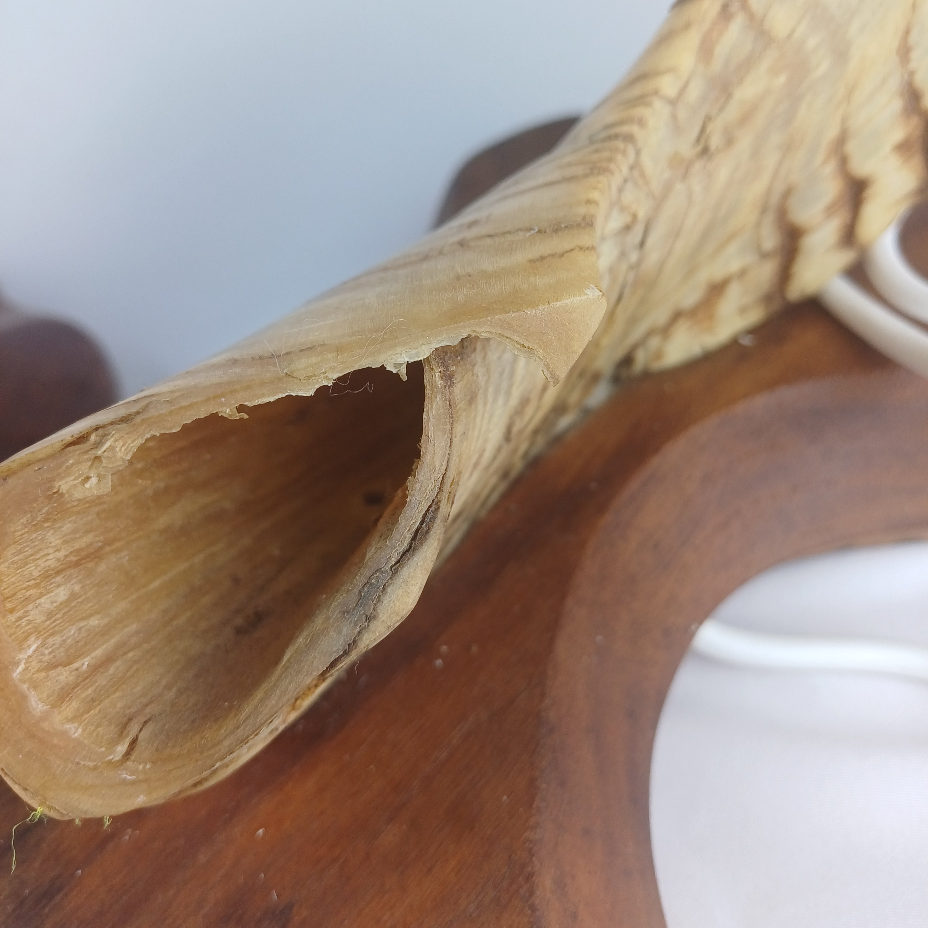 Pair of Rams Horn Lamps