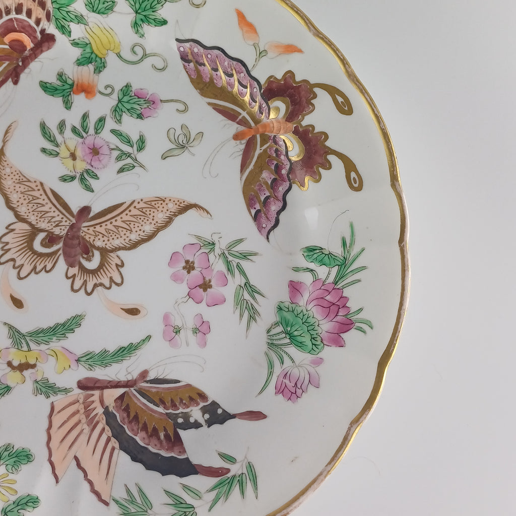 1812 Wedgwood Butterfly Plate