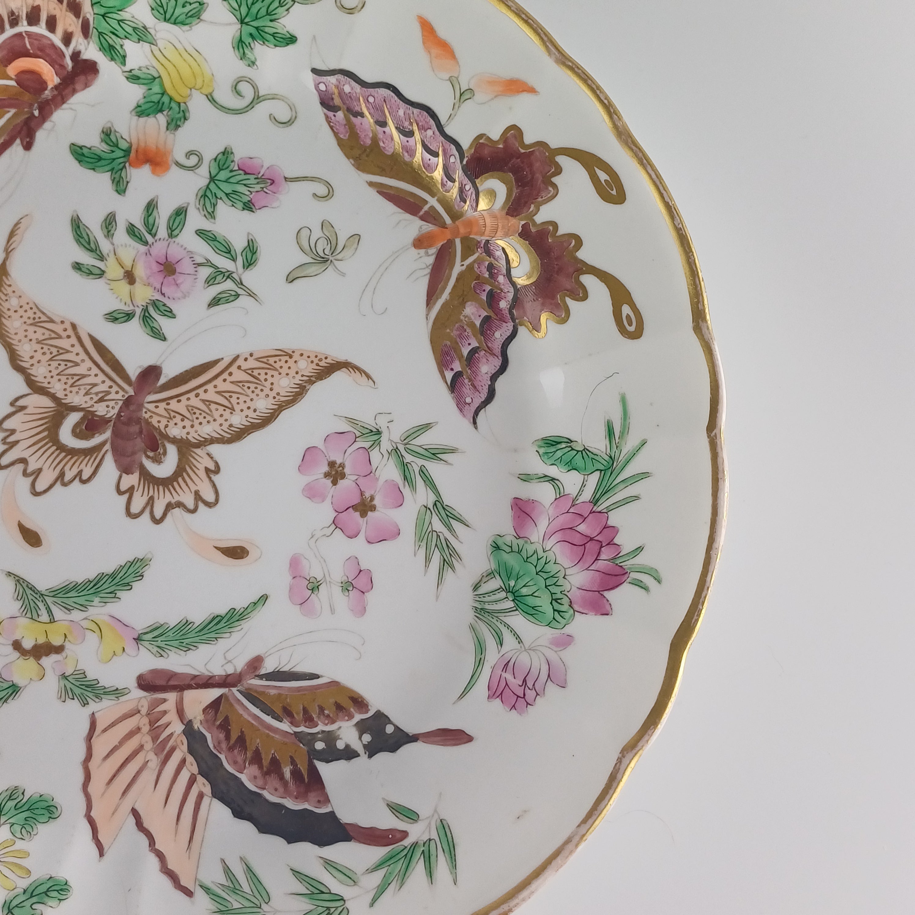 1812 Wedgwood Butterfly Plate