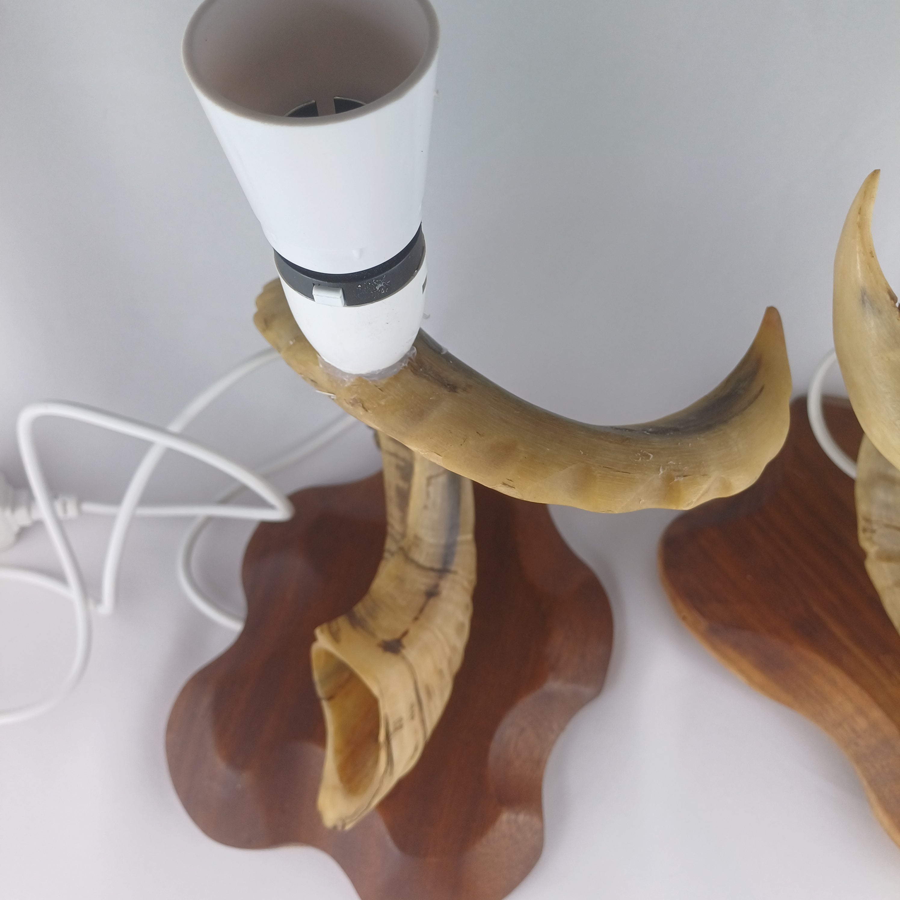 Pair of Rams Horn Lamps