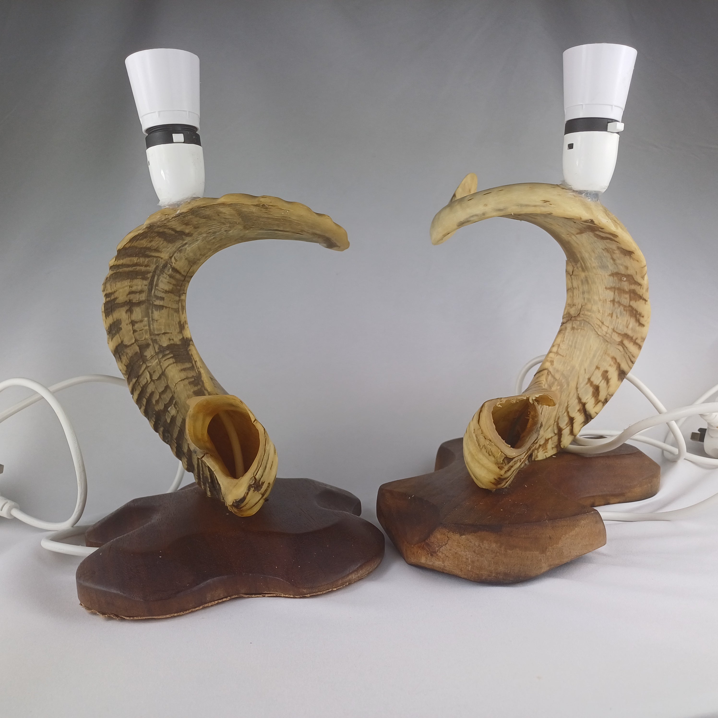 Pair of Rams Horn Lamps